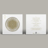 BRING ME THE HORIZON - SEMPITERNAL (10TH ANNIVERSARY EDITION) (LP-VINILO) PICTURE