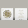 BRING ME THE HORIZON - SEMPITERNAL (10TH ANNIVERSARY EDITION) (LP-VINILO) PICTURE