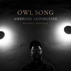 AMBROSE AKINMUSIRE - OWL...