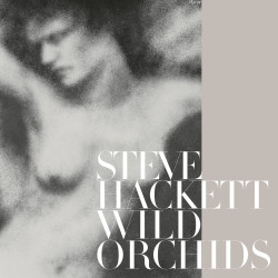 STEVE HACKETT - WILD...