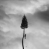 MANCHESTER ORCHESTRA - A BLACK MILE TO THE SURFACE (2 LP-VINILO) DELUXE PLATA