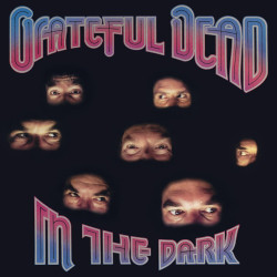 GRATEFUL DEAD - IN THE DARK...