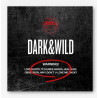 BTS - DARK & WILD (CD)