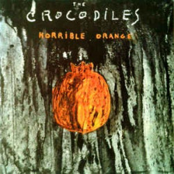 THE CROCODILES - HORRIBLE...