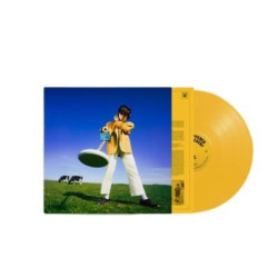 DECLAN MCKENNA - WHAT HAPPENED TO THE BEACH? (LP-VINILO) YELLOW