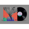 EVERYTHING EVERYTHING - MOUNTAINHEAD (LP-VINILO)