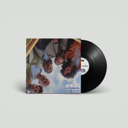 AMIGAS! - TODO IMPORTA TANTO (LP-VINILO)