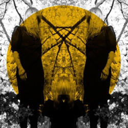 AUSTRA - FEEL IT BREAK (2...