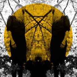 AUSTRA - FEEL IT BREAK (2...