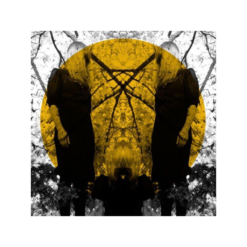 AUSTRA - FEEL IT BREAK (2 LP-VINILO)