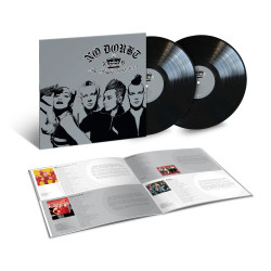 NO DOUBT - THE SINGLES 1992-2003 (2 LP-VINILO)