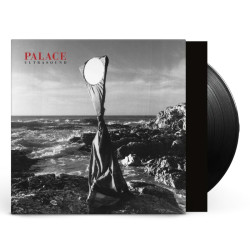 PALACE - ULTRASOUND...