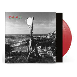 PALACE - ULTRASOUND...