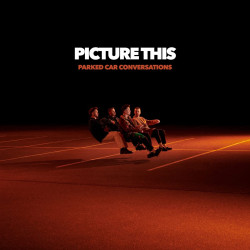 PICTURE THIS - PARKED CAR CONVERSATIONS (2 LP-VINILO)