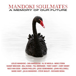 MANDOKI SOULMATES - A MEMORY OF OUR FUTURE (CD)