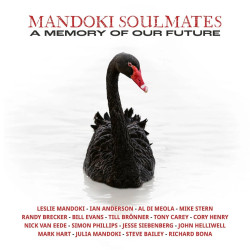 MANDOKI SOULMATES - A MEMORY OF OUR FUTURE (2 LP-VINILO)