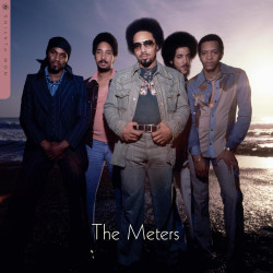 THE METERS - NOW PLAYING...