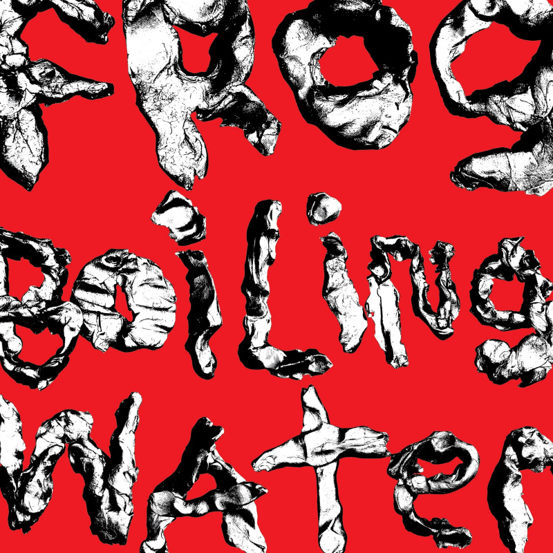 DIIV - FROG IN BOILING WATER (CD)