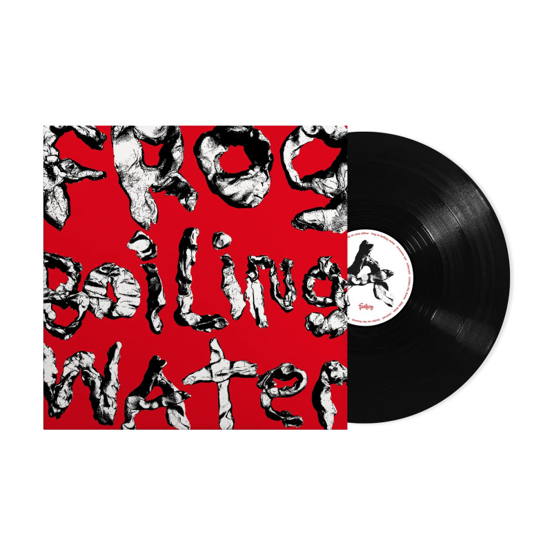 DIIV - FROG IN BOILING WATER (LP-VINILO)