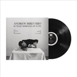 ANDREW BIRD TRIO - SUNDAY...