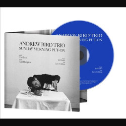 ANDREW BIRD TRIO - SUNDAY...