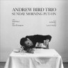 ANDREW BIRD TRIO - SUNDAY MORNING PUT-ON (CD)