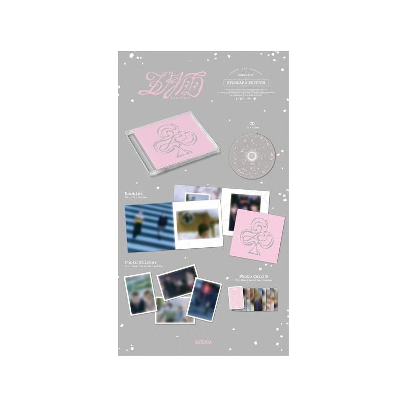 &TEAM - SAMIDARE (CD)