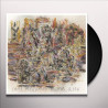 CASS MCCOMBS - HUMOR RISK (LP-VINILO)