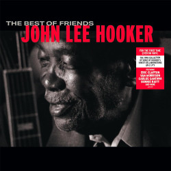 JOHN LEE HOOKER - THE BEST...