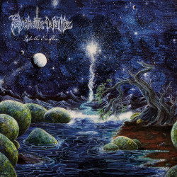 PSYCHOTIC WALTZ - INTO THE...