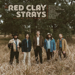 THE RED CLAY STRAYS - MADE BY THESE MOMENTS (LP-VINILO) GOLD
