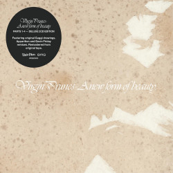 VIRGIN PRUNES - A NEW FORM OF BEAUTY 1-4 (2 CD)