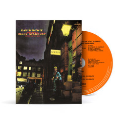 DAVID BOWIE - THE RISE AND...