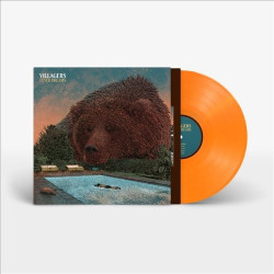 VILLAGERS - FEVER DREAMS...