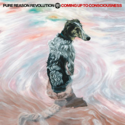 PURE REASON REVOLUTION -...