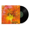 DOLDINGERS MOTHERHOOD - MOTHERHOOD (LP-VINILO)