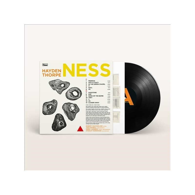 HAYDEN THORPE - NESS (LP-VINILO)