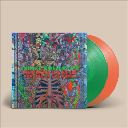 ANIMAL COLLECTIVE - SUNG...