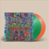 ANIMAL COLLECTIVE - SUNG TONGS LIVE AT THE THEATRE AT ACE HOTEL (2 LP-VINILO) COLOR