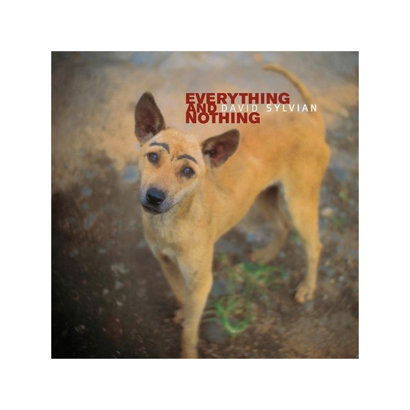 DAVID SYLVIAN - EVERYTHING & NOTHING (3 LP-VINILO)