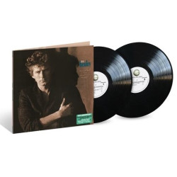 DON HENLEY - BUILDING THE...