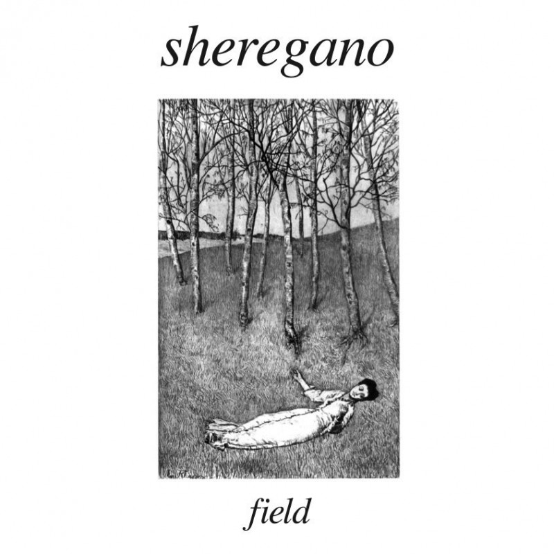SHEREGANO - FIELD