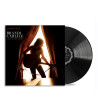 BRANDI CARLILE - GIVE UP THE GHOST (LP-VINILO)