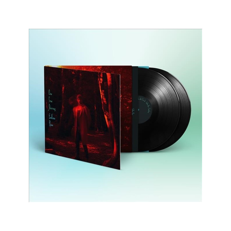 ONE TRUE PAIRING - ENDLESS RAIN (2 LP-VINILO)