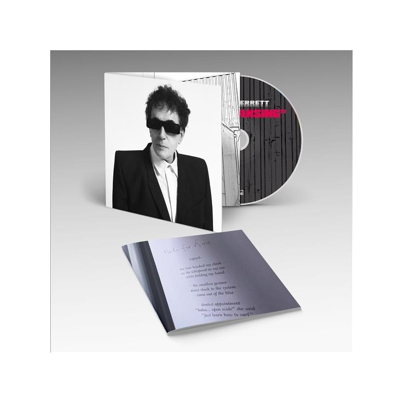 PETER PERRETT - THE CLEANSING (CD)