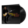 WARREN HAYNES - MILLION VOICES WHISPER (2 LP-VINILO)