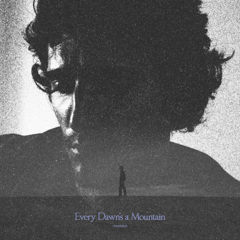 TAMINO - EVERY DAWN’S A MOUNTAIN (CD)
