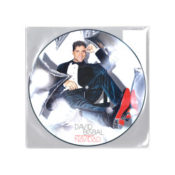 DAVID BISBAL - TODO ES POSIBLE EN NAVIDAD (LP-VINILO) PICTURE EDICIÓN LIMITADA
