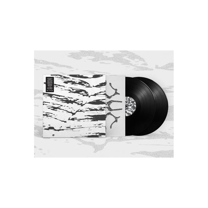 GUY BLAKESLEE - EXTRAVISION (2 LP-VINILO)
