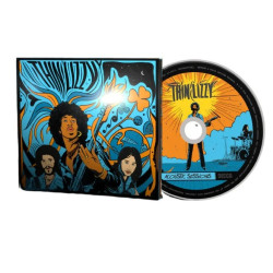 THIN LIZZY - THE ACOUSTIC...